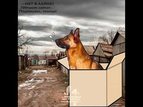 —ЛЮБЛЮ ВАС, НАС ПОЧТИ 750ТЫС!🫶🏻✨ #рек #гача #приколгача #гачалайф #гачаклуб #gacha #лютик #топ