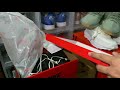 JORDAN 1 HI’ 85 VARSITY RED UNBOXING