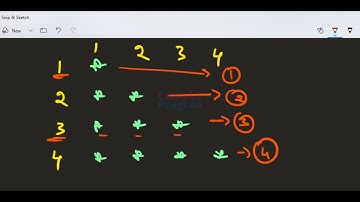 Python Pattern Printing Programs | Right Angle Triangle Star Pattern ( Nested For Loop )