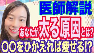 【医師解説】〇〇をひかえれば痩せる！　最新研究論文から解説　あなたが太る原因は、身近な〇〇だった！　【究極のダイエット】