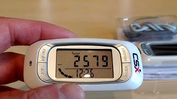 How to setup the CSX P381 Pedometer for Walking