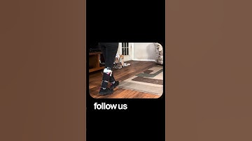 Discover how Vizion 1