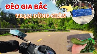 Trạm Dừng Chân Mát Mẻ Trên  ĐÈO GIA BẮC Cung Đường Nối  Bình Thuận Với  Lâm Đồng , Đà Lạt  ❤️   🏝