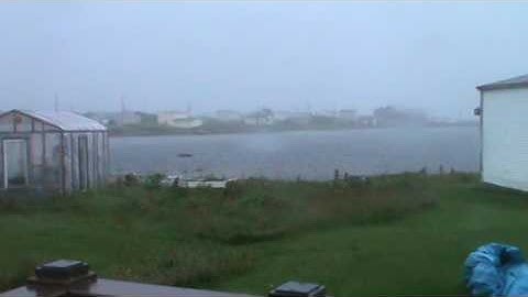 wild day in lamaline