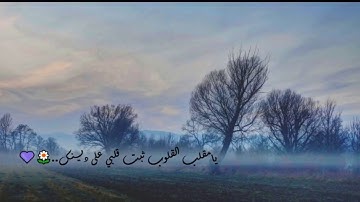 تلاوه هادئه وجميله ترقق القلوب للقارئ اسامة عطران😌🌹