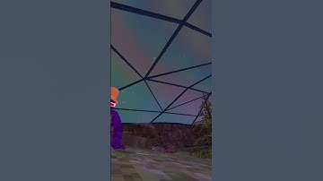 ME WHEN I FIND COMMON CRITTERS #gorillatag #gtag #funny #vr #goviral  #gtaggameplay #gorillatagquest