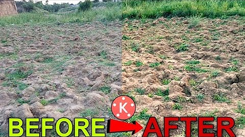 Kinemaster Cinematic Color Grading | Kinemaster Pro Video Editing | kinemaster