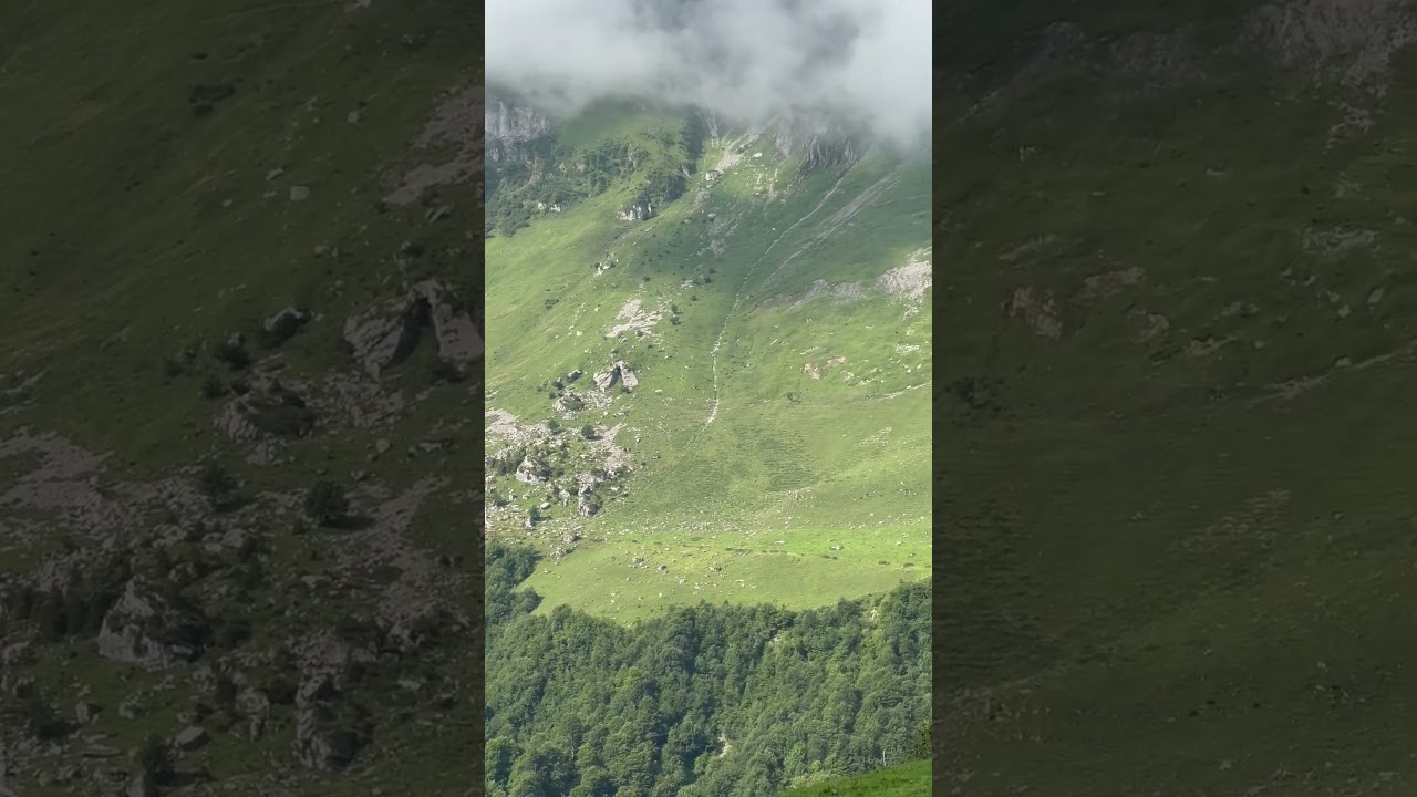 Im Feldmoos Bisistal Muotathal