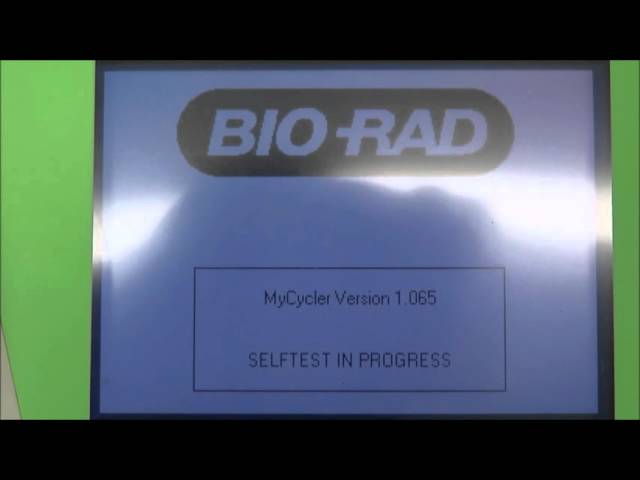 Biorad Thermal Cycler Dyad PTC-220 - The Lab World Group