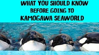 What Kamogawa SeaWorld Doesn&#39;t Want You To Know