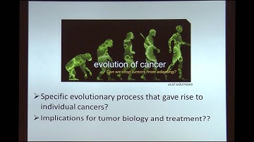 The Genomic Architecture of Prostate Cancer