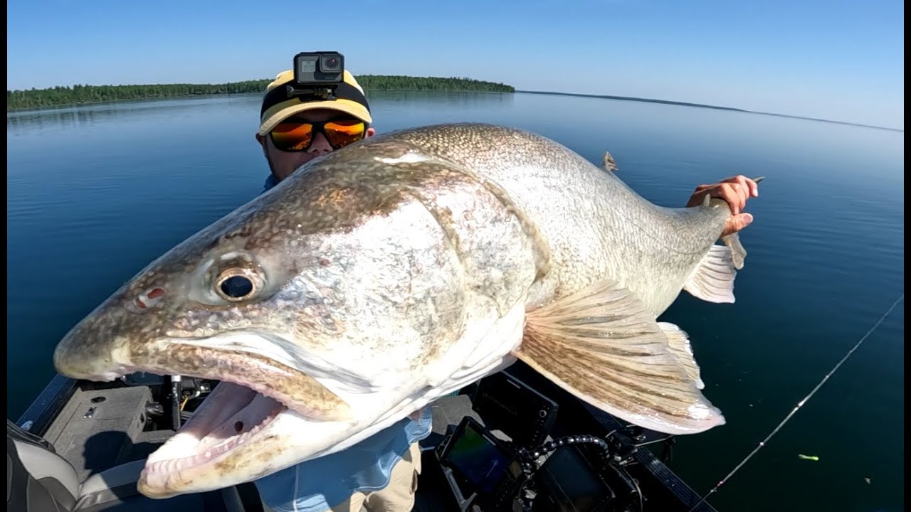 Giant Fish Crushed My Bait! (LIVESCOPE FOOTAGE) 