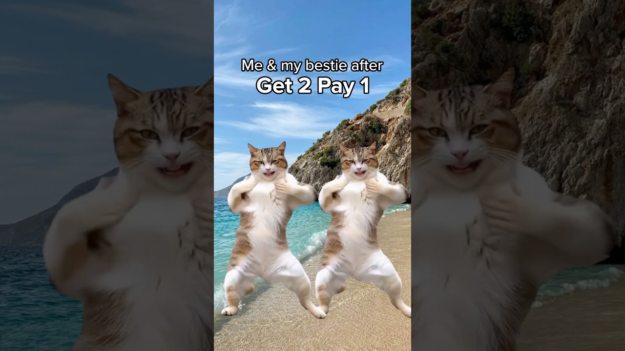 Book 2, Pay for 1 Flights ✈️ | Summer Travel Deal 2026