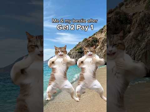 Book 2, Pay for 1 Flights ✈️ | Summer Travel Deal 2026