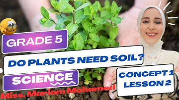 ‏Grade 5 | Theme 1 | Concept 1| Lesson 2 | Do plants need soil