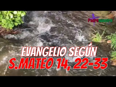 ▷ EVANGELIO del 13 de AGOSTO - MATEO 14, 22-33 |  GUILLERMO SERRA / Dedicación San Pedro y Pablo