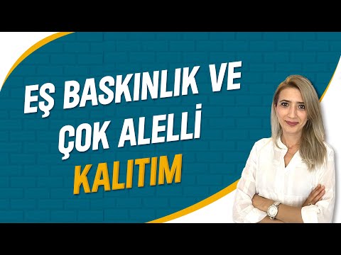 Eş Baskınlık ve Çok Alelli Kalıtım | Seda Hoca Biyoloji ( 34. Ders ) #sedahocabiyoloji #tyt2023