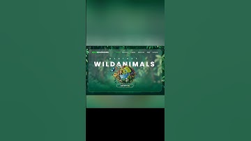 Wild Animals free html css js animation using website fast and cool ui ux #shortvideo #shorts