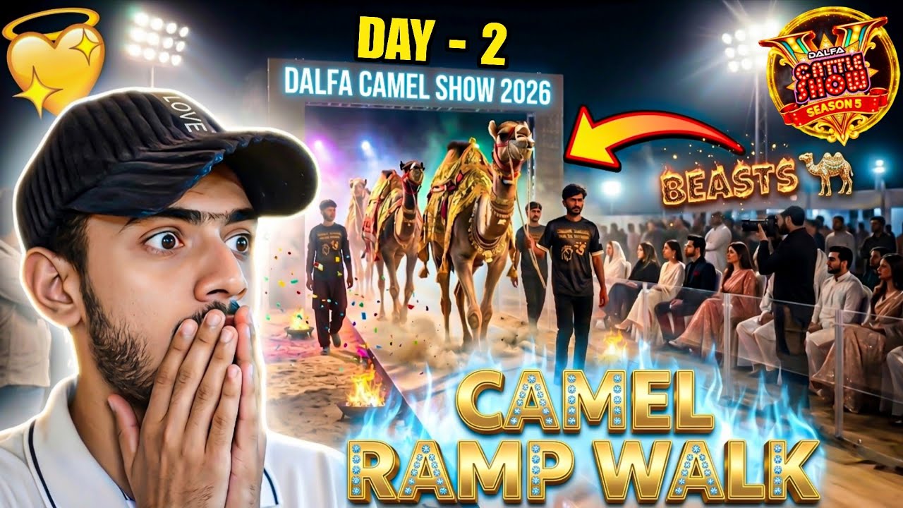 CAMEL RAMP WALK MISS MAT KARNA 🔥 | DALFA CATTLE SHOW 2026 ️ | KHUBSURAT ...
