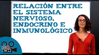 Relationship between the nervous, endocrine, and immune systems