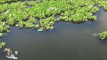 Beautiful Pond | Fishing Video | Fishing Mania