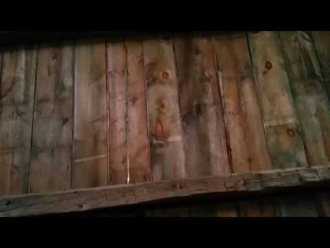 Bats In A Barn Youtube
