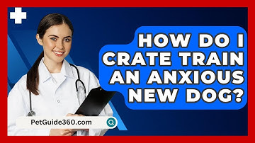 How Do I Crate Train An Anxious New Dog? - PetGuide360.com