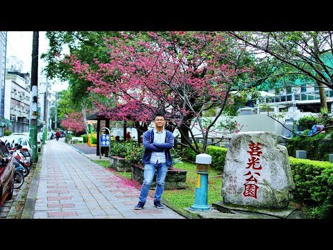 [桃園旅遊景點] 教你搭公車到中壢莒光公園，走一圈小橋、流水和櫻花