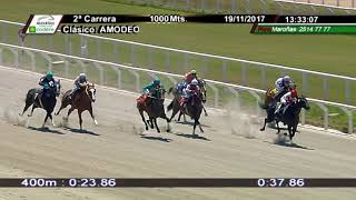 Vidéo de la course PMU PREMIO CLASICO AMODEO