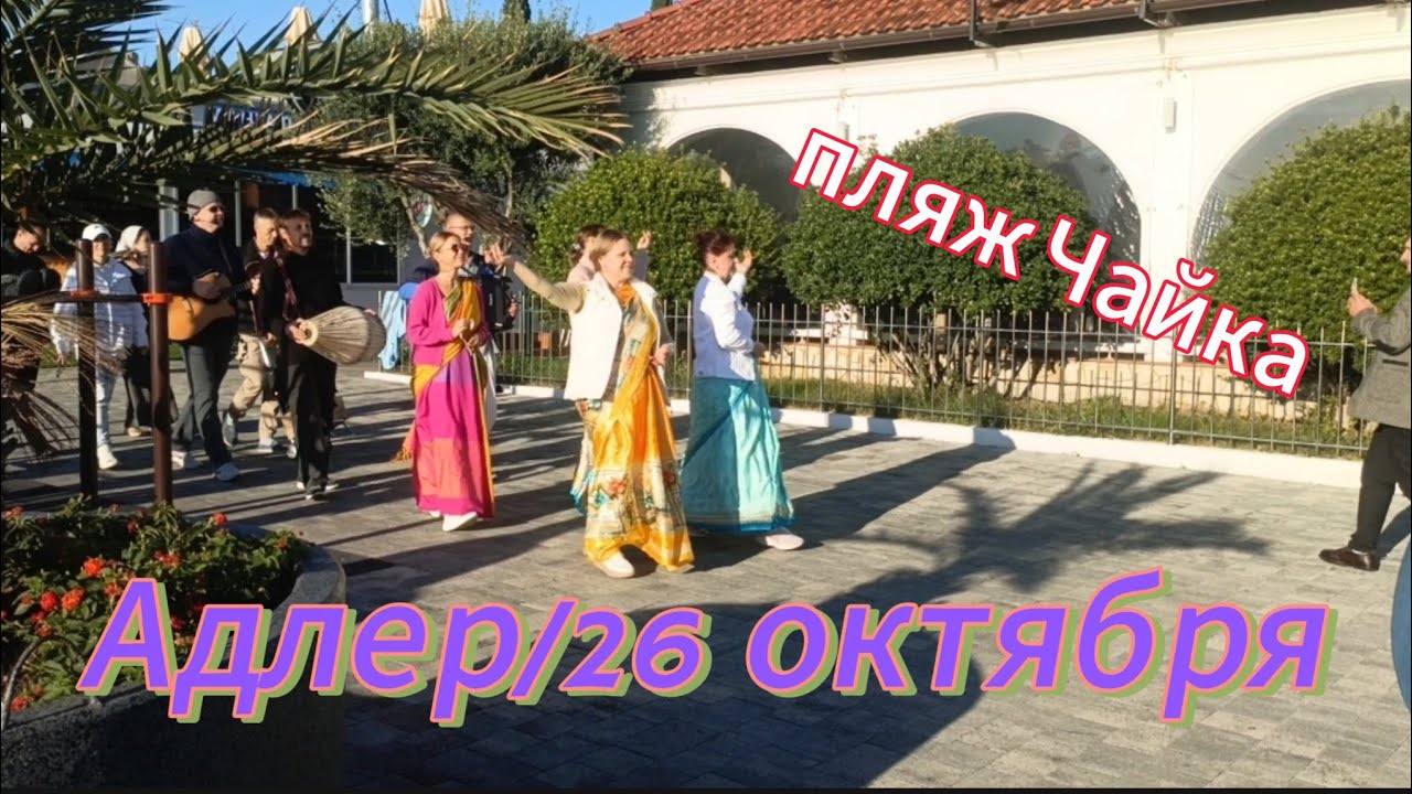 День на набережной/пляж Чайка/осень в Сочи 2025