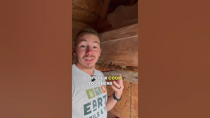 Know these 5 Things BEFORE You Start Raising Chickens