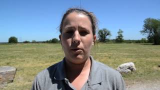 KC Parks: Boy Scout Camp at Jerry Smith Park