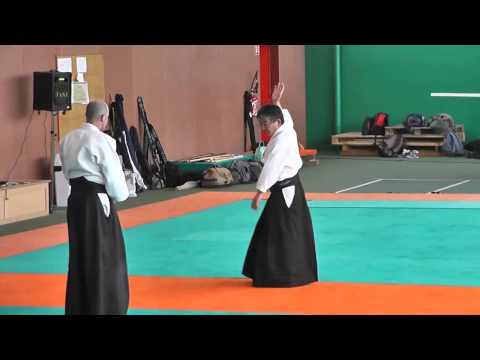 Tasaka Sensei 7 Dan Aikido in France - Tenchi nage