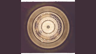 Archaea
