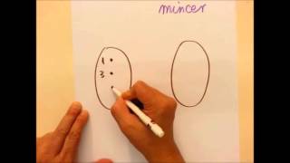 Basic Concept of Function 151005