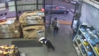 Walmart employee, 78,  faces store thief