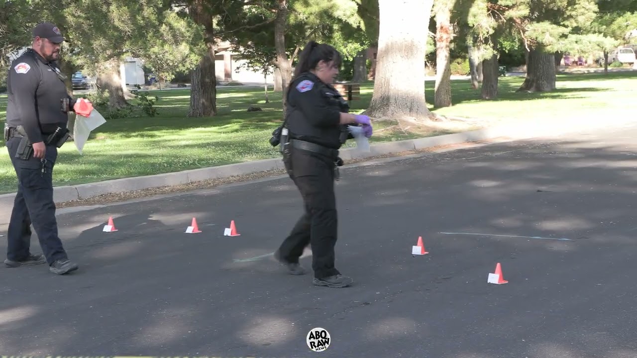 Drive By Rocks Quiet Albuquerque Neighborhood