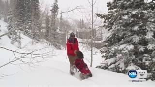 Risk present for avalanches after spring snowfall