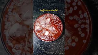 #బాడీలోవేడినిపోగొట్టేటేస్టీ డ్రింక్ చిటికెలో తప్పకుండాట్రైచెయ్యండి#healthydrinks#shorts#plssubscribe