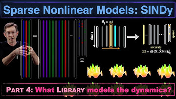 Sparse Nonlinear Dynamics Models with SINDy, Part 4: The Library of Candidate Nonlinearities