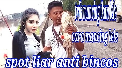 MANCING IKAN LELE LIAR TERBARU SPOT TELUK INTAN KALI JODO