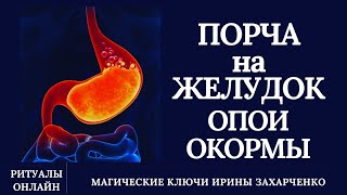 Желудок. Порча На Желудок. Опои, Окормы. Восстановление Флоры, Кислотности. Боль. Спазмы