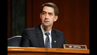 Sen Tom Cotton Pogrom