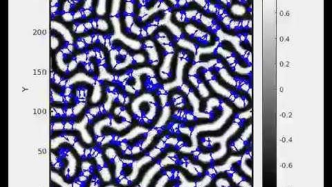 Janus Nanoparticles Co-Assembly in Diblock Copolymr Mixture