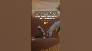 _ أرأيت الذي ينهى عبدا إذا صلى 🥰 ❤️ _ القارئ راشد الأركاني ❤️ _ [ سورة العلق ]