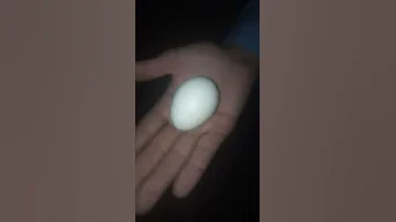 الدليل الوحيد الذي تعرف به هل انت حقا زهري الدم 