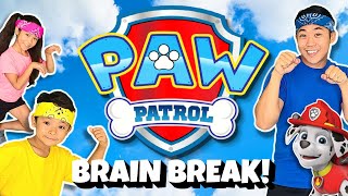 PAW PATROL Workout | Funny JOKES + a real DOG!