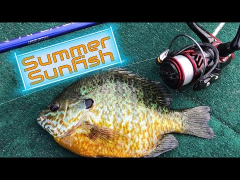 T2 Panfish Toothpick – Jeff's Jigs