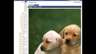 Asset Folder - Upload an Image