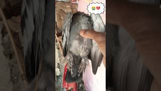 ye kya ho Gaya 😭💔😱